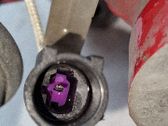 Caliper del freno trasero
