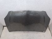 Motorhaube