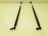 Tailgate/trunk/boot lid buffer