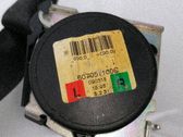 Cinturón trasero