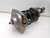 Front shock absorber/damper