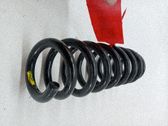 Muelle espiral delantero