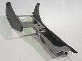 Dashboard trim