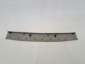 Dashboard trim