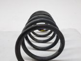 Muelle espiral delantero