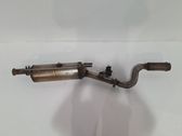 Filtro de partículas del catalizador/FAP/DPF