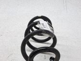 Muelle espiral delantero