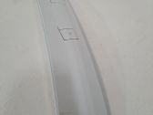 Dashboard trim