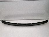 Moldura del limpia
