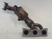 Filtro de partículas del catalizador/FAP/DPF