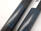 Tailgate/trunk/boot lid buffer