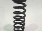 Muelle espiral trasero
