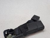 Hebilla del cinturón de seguridad trasero