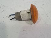 Seitenblinker