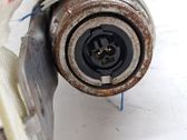 Airbag del techo