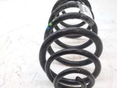 Front coil spring