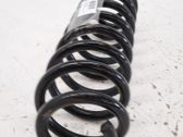 Muelle espiral delantero