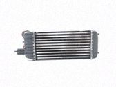 Radiador intercooler