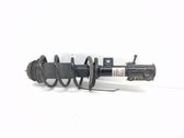 Front shock absorber/damper