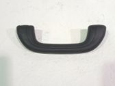 Handrail (top trim)