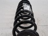 Muelle espiral delantero
