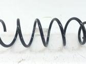 Muelle espiral delantero