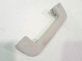 Handrail (top trim)