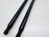 Takaluukun/tavaratilan rajoitin