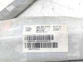 Airbag de la puerta delantera