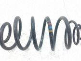 Muelle espiral delantero