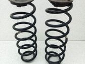 Muelle espiral trasero