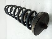 Front coil spring