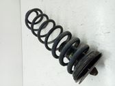 Front coil spring