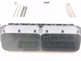 Engine control unit/module ECU