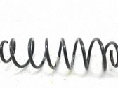 Muelle espiral delantero
