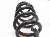 Muelle espiral delantero