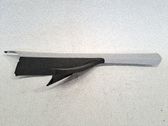 Dashboard trim