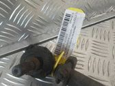 Stabilisator vorne