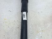 Stoßdämpfer hinten
