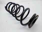 Muelle espiral delantero
