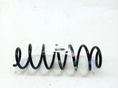 Front coil spring
