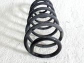 Muelle espiral delantero