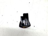 Botón interruptor de luz de peligro