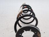 Muelle espiral delantero