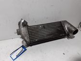 Radiador intercooler