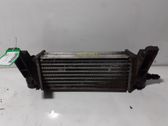 Intercooler radiator