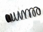 Muelle espiral delantero