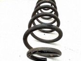 Muelle espiral delantero