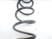 Front coil spring