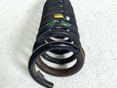 Muelle espiral delantero